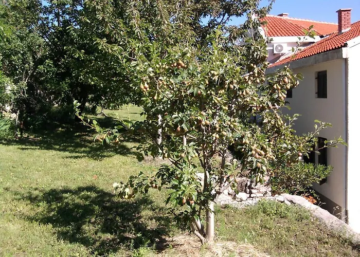 Mujagic *